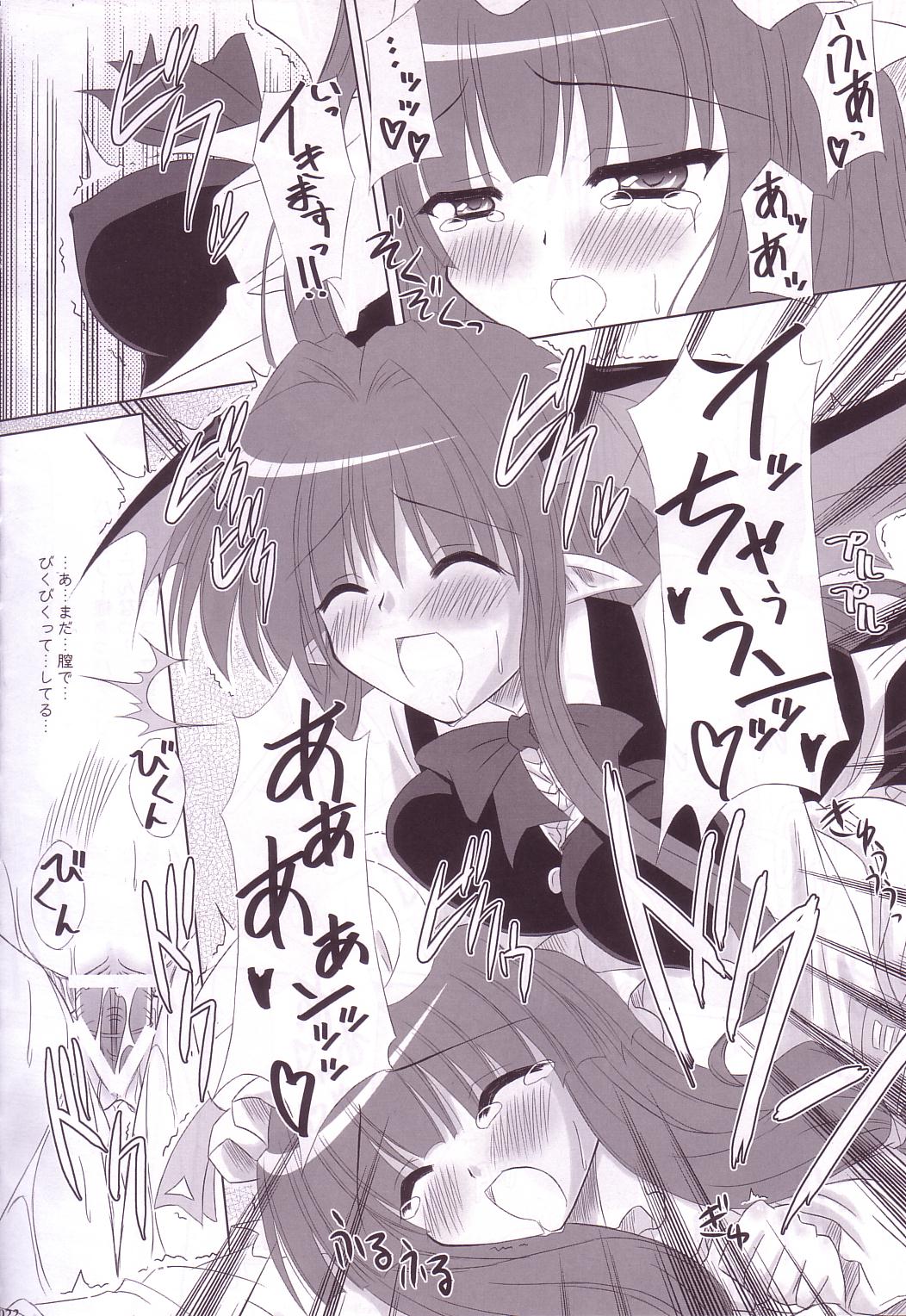 (C74) [Reverse Noise (やむっ)] Lunatic Library (東方Project)