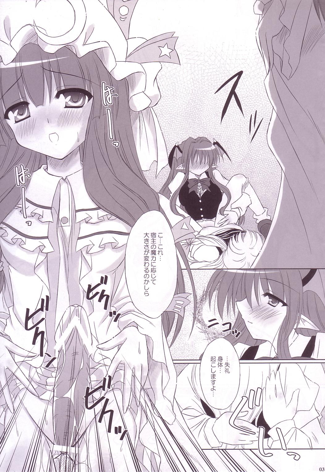 (C74) [Reverse Noise (やむっ)] Lunatic Library (東方Project)