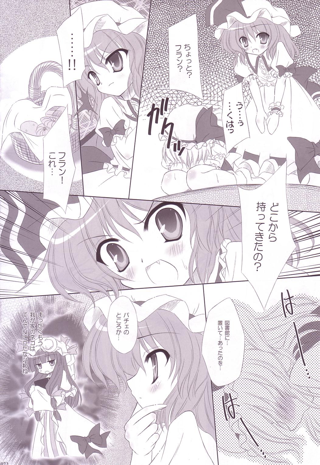 (C74) [Reverse Noise (やむっ)] Lunatic Library (東方Project)