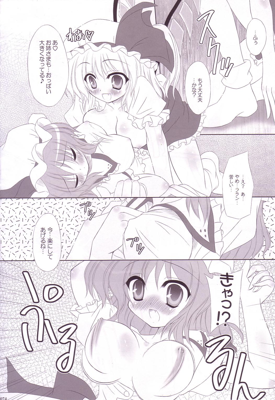 (C74) [Reverse Noise (やむっ)] Lunatic Library (東方Project)