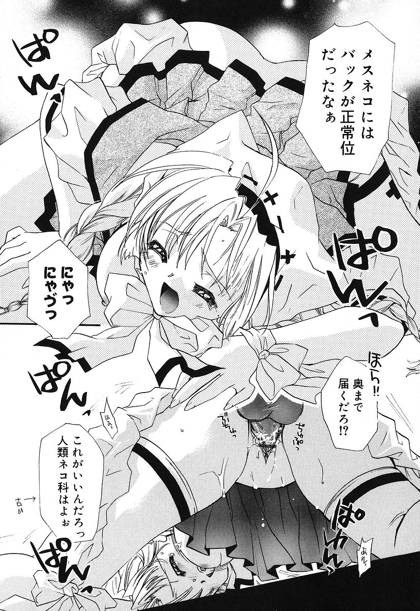 [谷村まりか] Touch up!