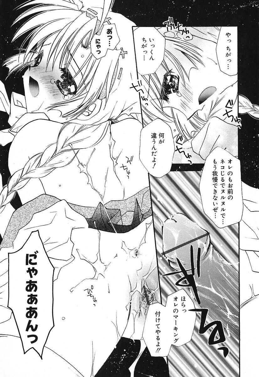 [谷村まりか] Touch up!