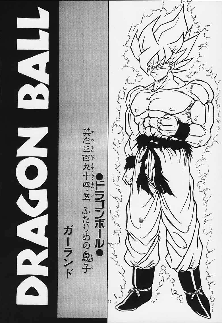 [リハビリテーション (があらんど)] ドラゴンボールH 巻一・二 再版 (ドラゴンボールZ)