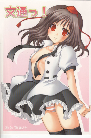 (C69) [Lyco-Z (来迎寺アヤ)] 文通っ! (東方Project)