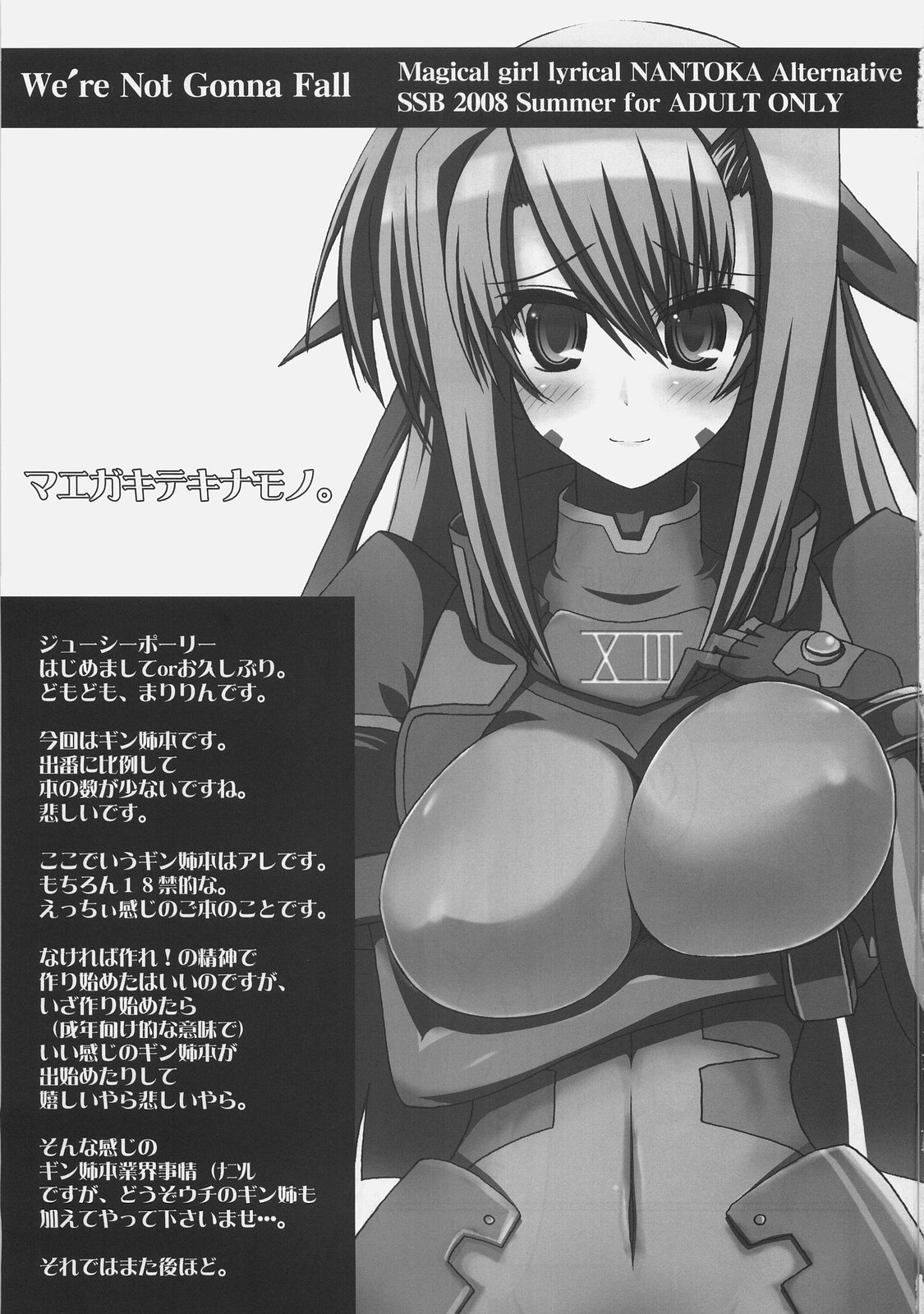 (C74) [SSB (まりりん)] We're Not Gonna Fall (魔法少女リリカルなのは)