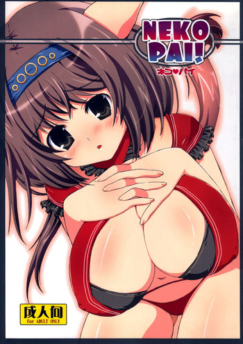 (C72) [AZA+ (よしむね)] NEKOPAI! (ファイナルファンタジー XI)