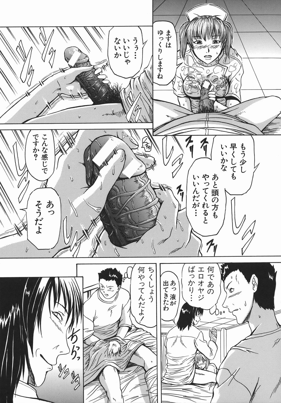 [三川貝] 精食者