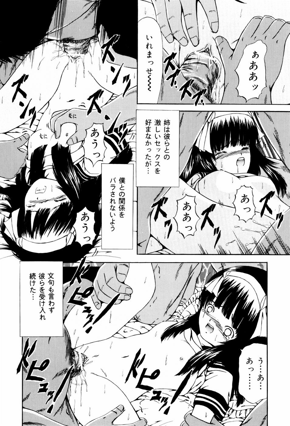 [ペイントロボ] 聖校章