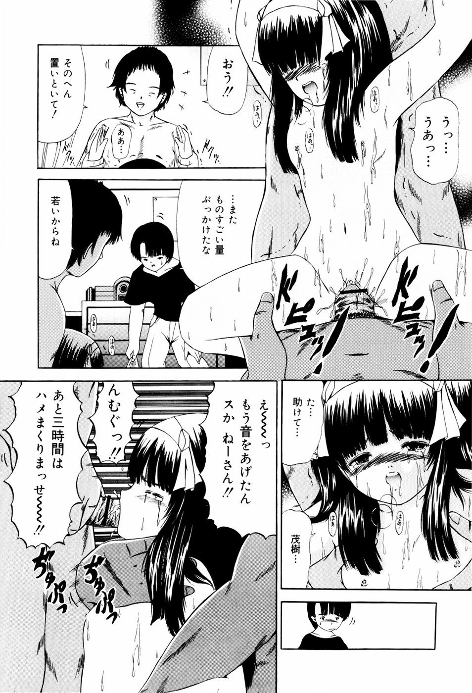 [ペイントロボ] 聖校章