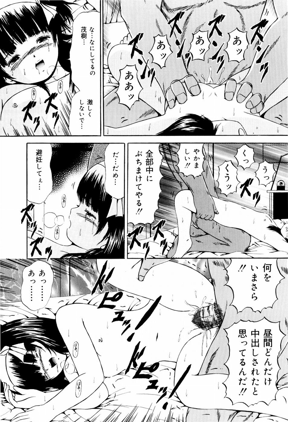 [ペイントロボ] 聖校章