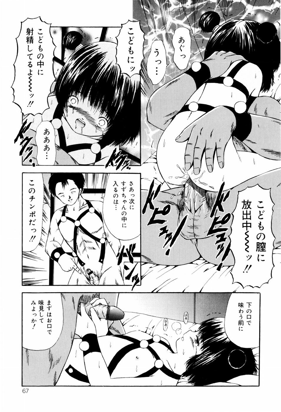 [ペイントロボ] 聖校章