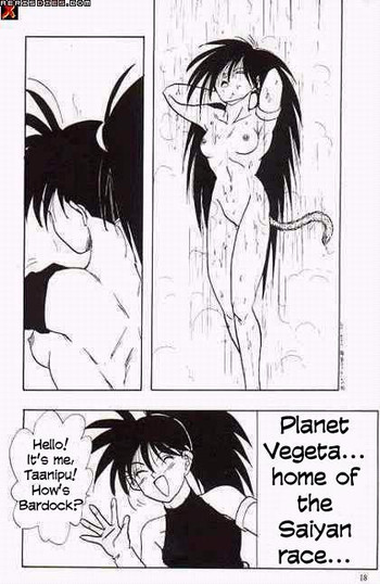 セリパとタアニプ[英語] [書き直し]