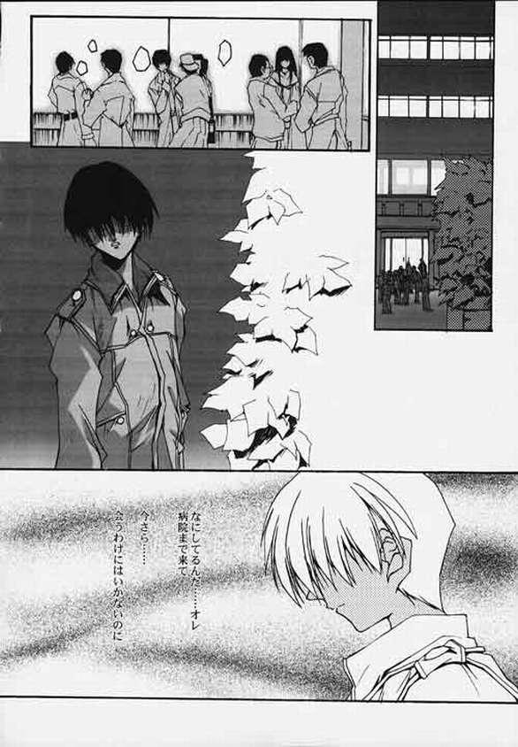 (C56) [流石堂 (流ひょうご)] CompleX Pack (こみっくパーティー, ホワイトアルバム)