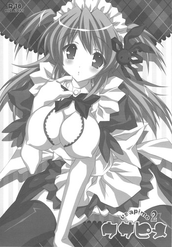 (コミトレ13) [Liz (里海ひなこ)] ウサピメ2