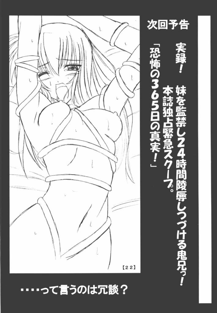 (Cレヴォ31) [夜の勉強会 (ふみひろ)] 千影日記 (シスタープリンセス)