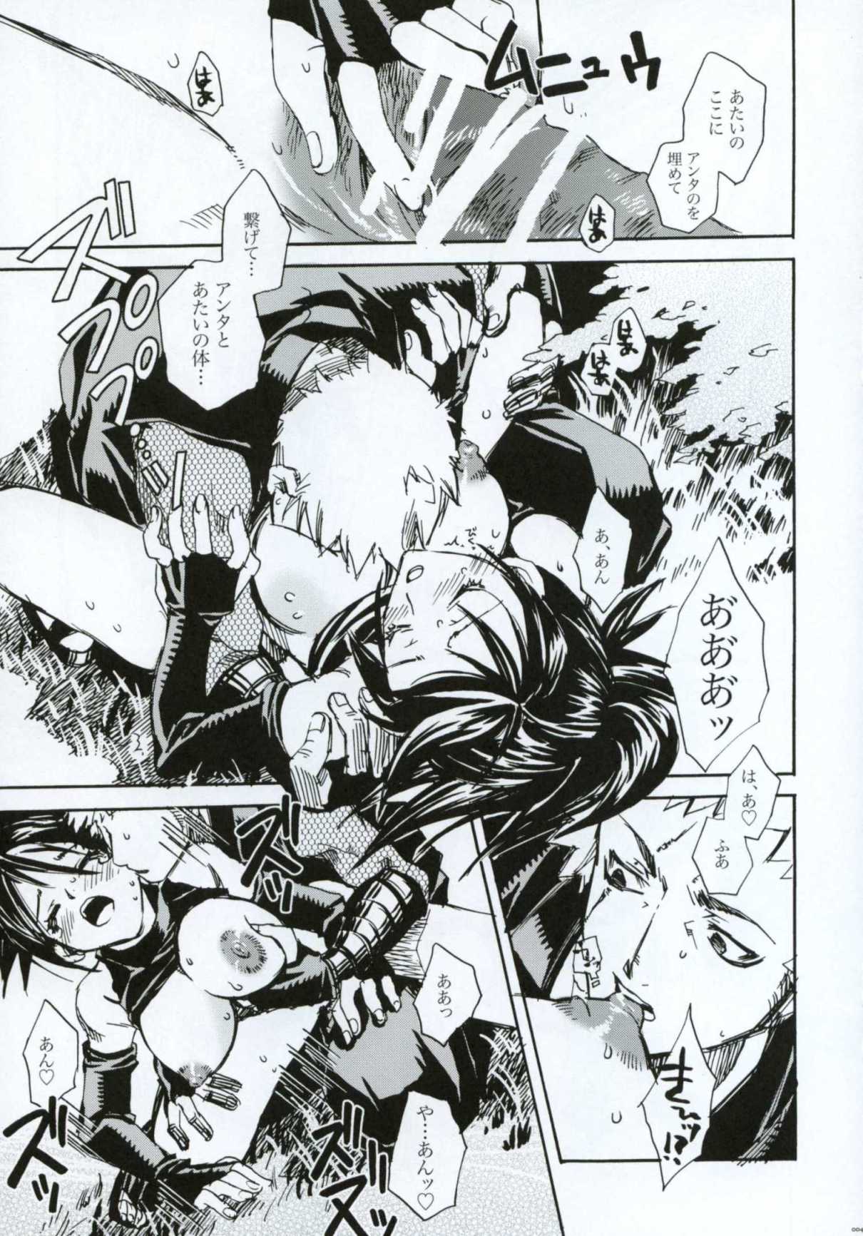 (C66) [すいか時計 (酔花ころん)] 月が満ちたら (天誅)