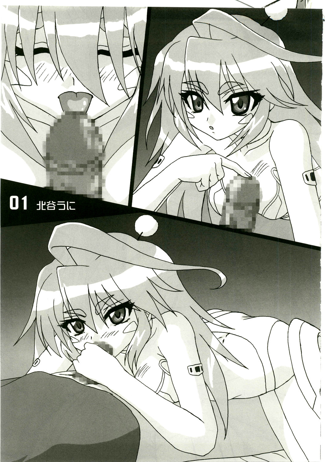 (C75) [ハイランド工房 (ウエノ直哉、うさみするが)] GIRL'S CAPRICCIO 14 (機動戦士ガンダム00、とらドラ!)