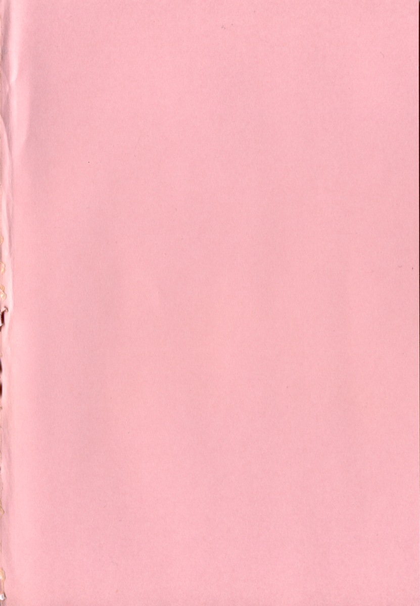 [稚名はなび] 凌辱小町