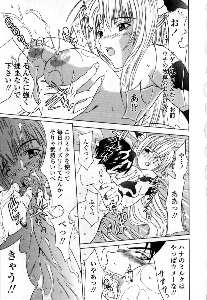 [稚名はなび] 凌辱小町