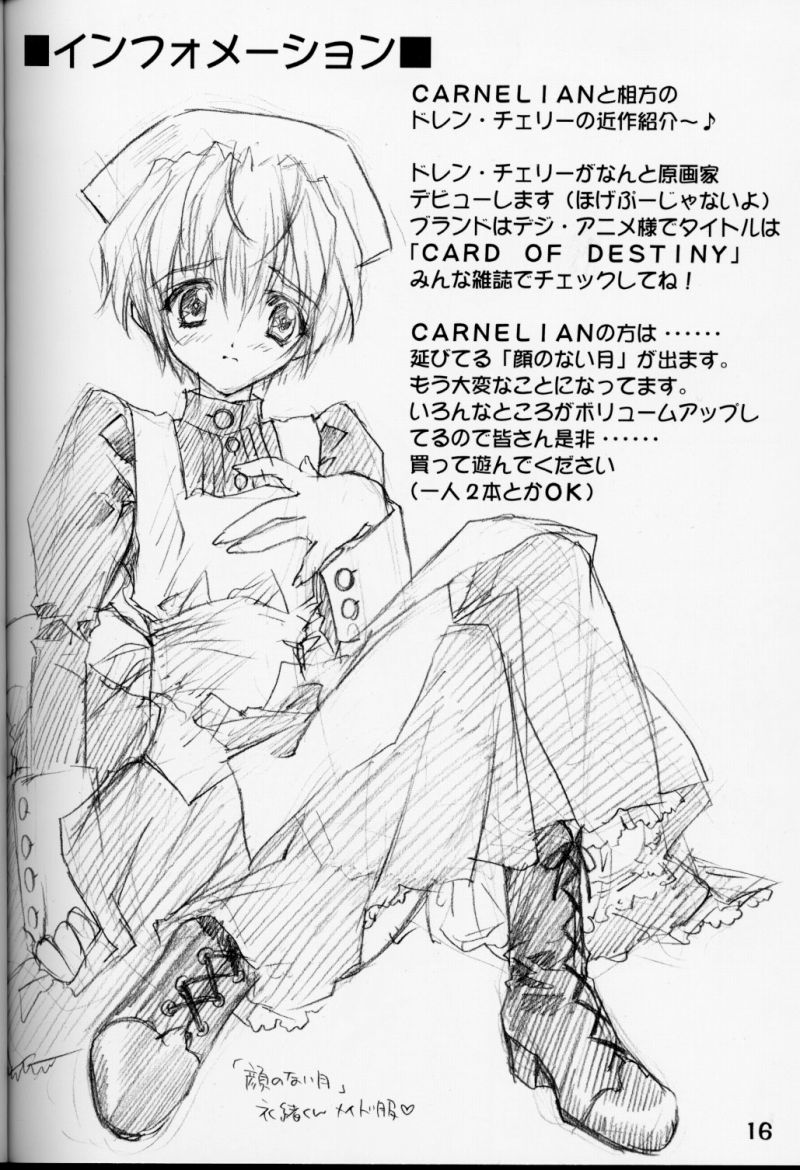 (Cレヴォ28) [CARNELIAN] Ｘゲーマニア (マシンメイデン)