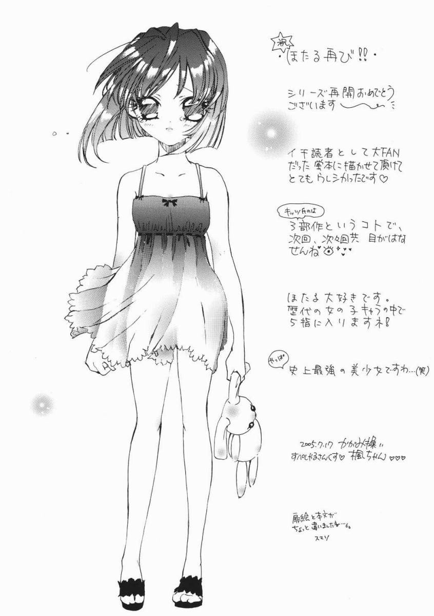 [浅野屋] 蛍VIII (セーラームーン)