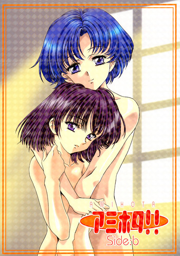 (C63)[片励会 (かわらじま晃)] アミホタ!! side:b (セーラームーン)