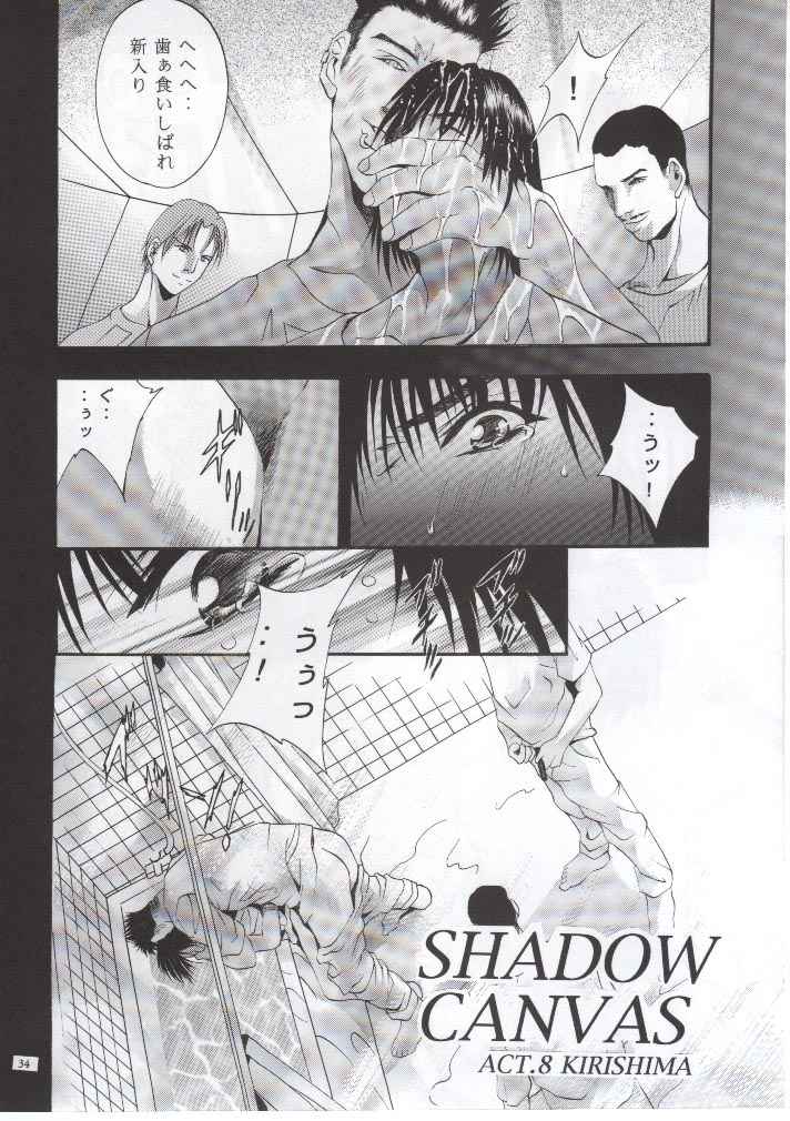 (Cレヴォ28) [スタジオBIG-X (ありのひろし)] SHADOW CANVAS 11 (AIR)