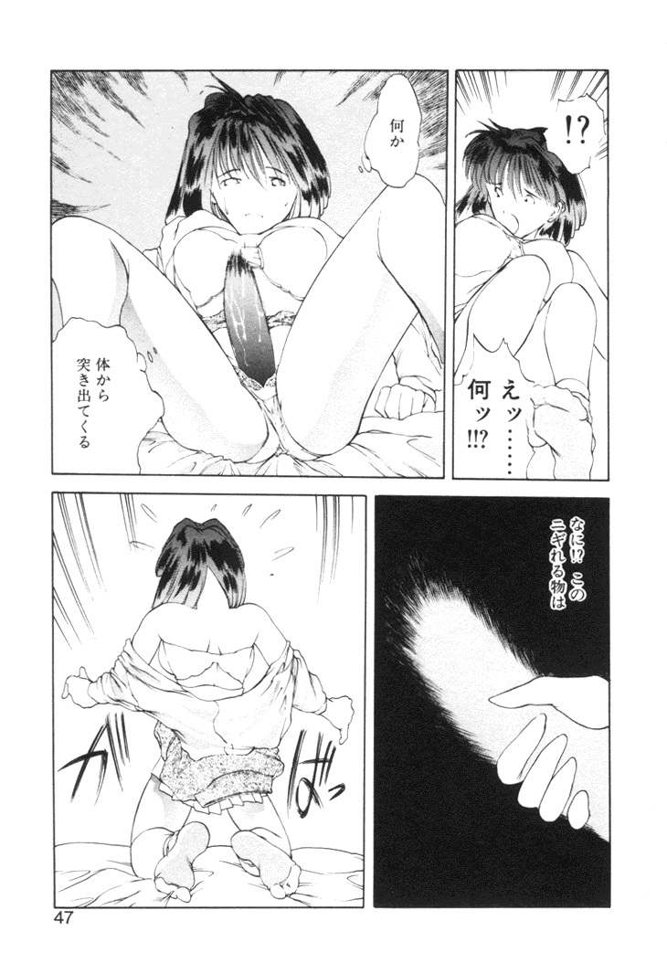 【冨樫】歴史2-森の妖精物語2-もいいきって