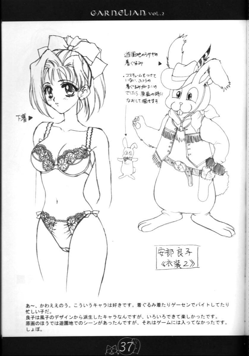 [CARNELIAN] CARNELIAN vol.2 - Re·Leaf 設定資料集