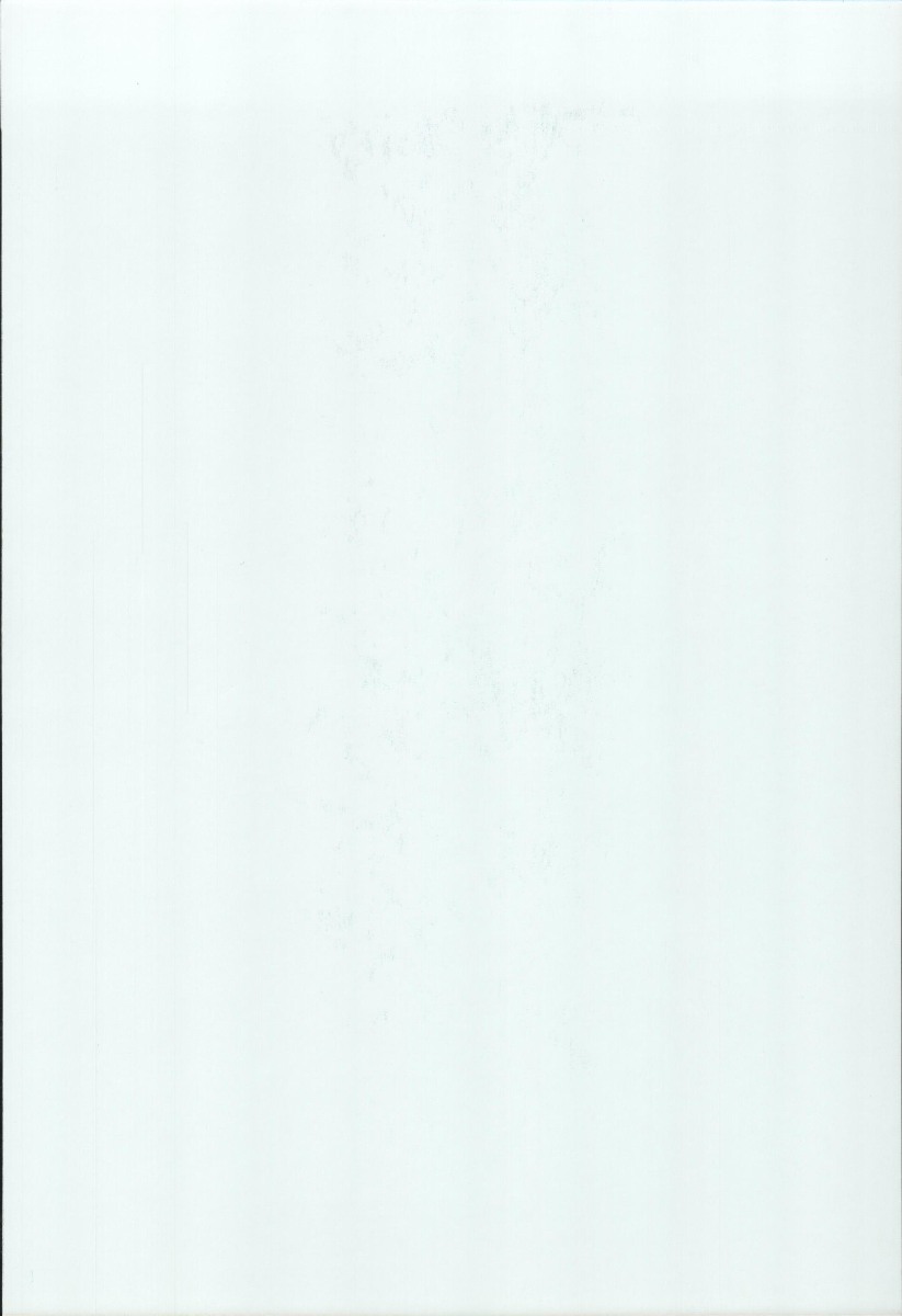 [紅茶屋 (大塚子虎)] 天衣無縫外伝 (ストリートファイター)