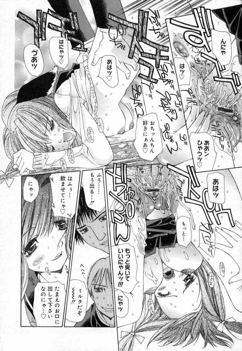 [古事記王子] クローバー