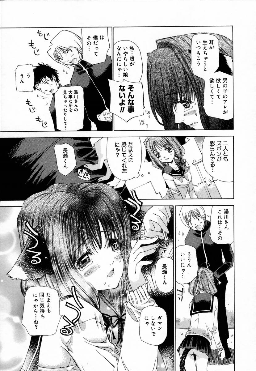 [古事記王子] クローバー