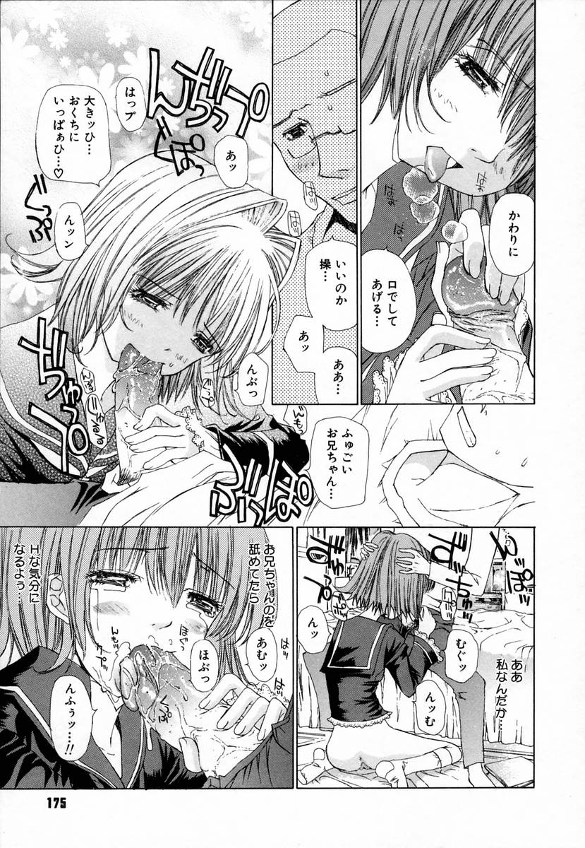 [古事記王子] クローバー