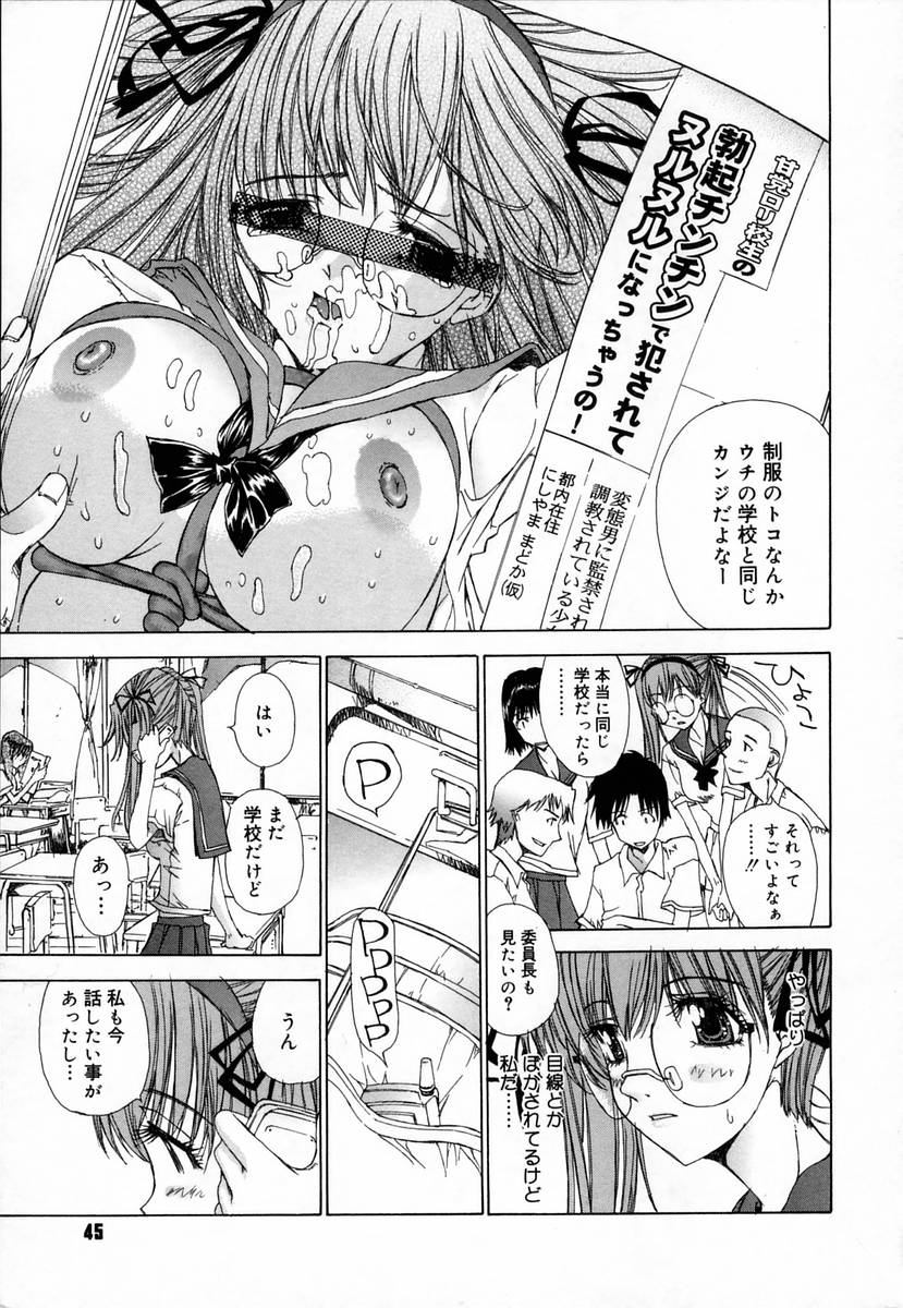 [古事記王子] クローバー