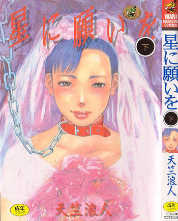 [天竺浪人] 星に願いを 下