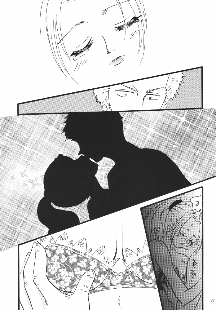 [銀桃堂 (みたさとみ)] 航海日誌DX (ワンピース)