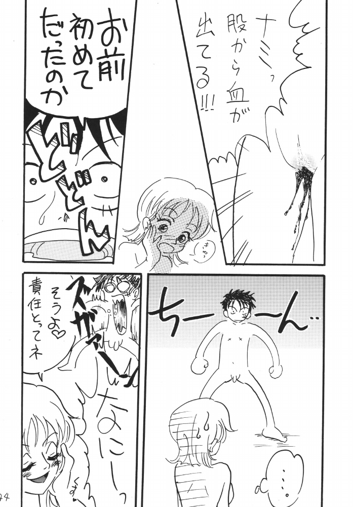 [銀桃堂 (みたさとみ)] 航海日誌DX (ワンピース)