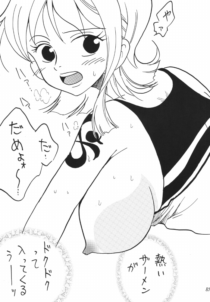 [銀桃堂 (みたさとみ)] 航海日誌DX (ワンピース)