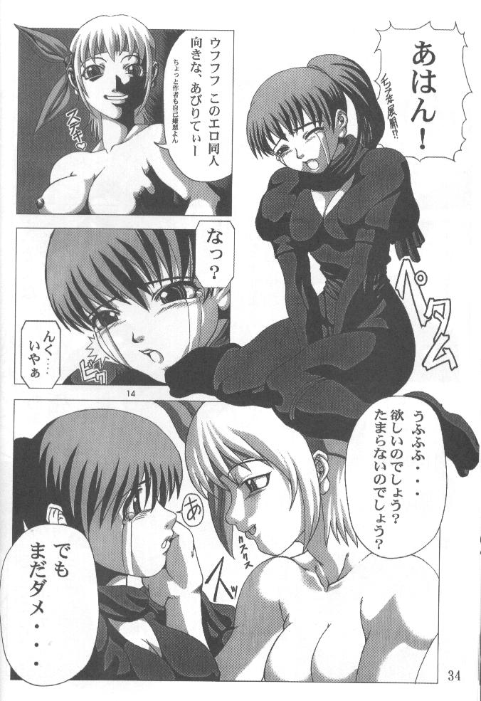 (C58) [パワースライド (うっとりくん、でにむ)] 風閃 (ゾイド -ZOIDS-、デッド・オア・アライブ)