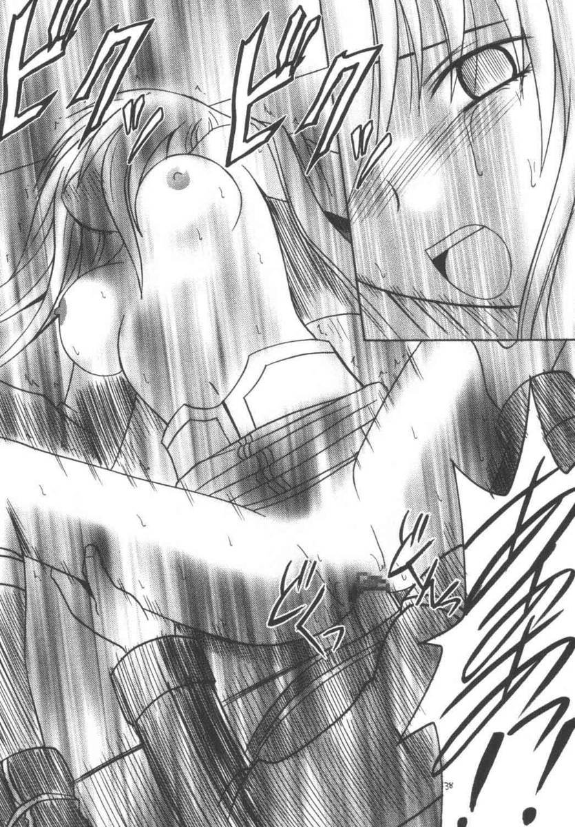 [クリムゾン (カーマイン)] マリア (スターオーシャン Till the End of Time)