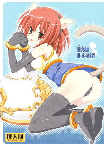 (C74) [AZA+ (よしむね)] ボクのオートマトン (ファイナルファンタジー XI)