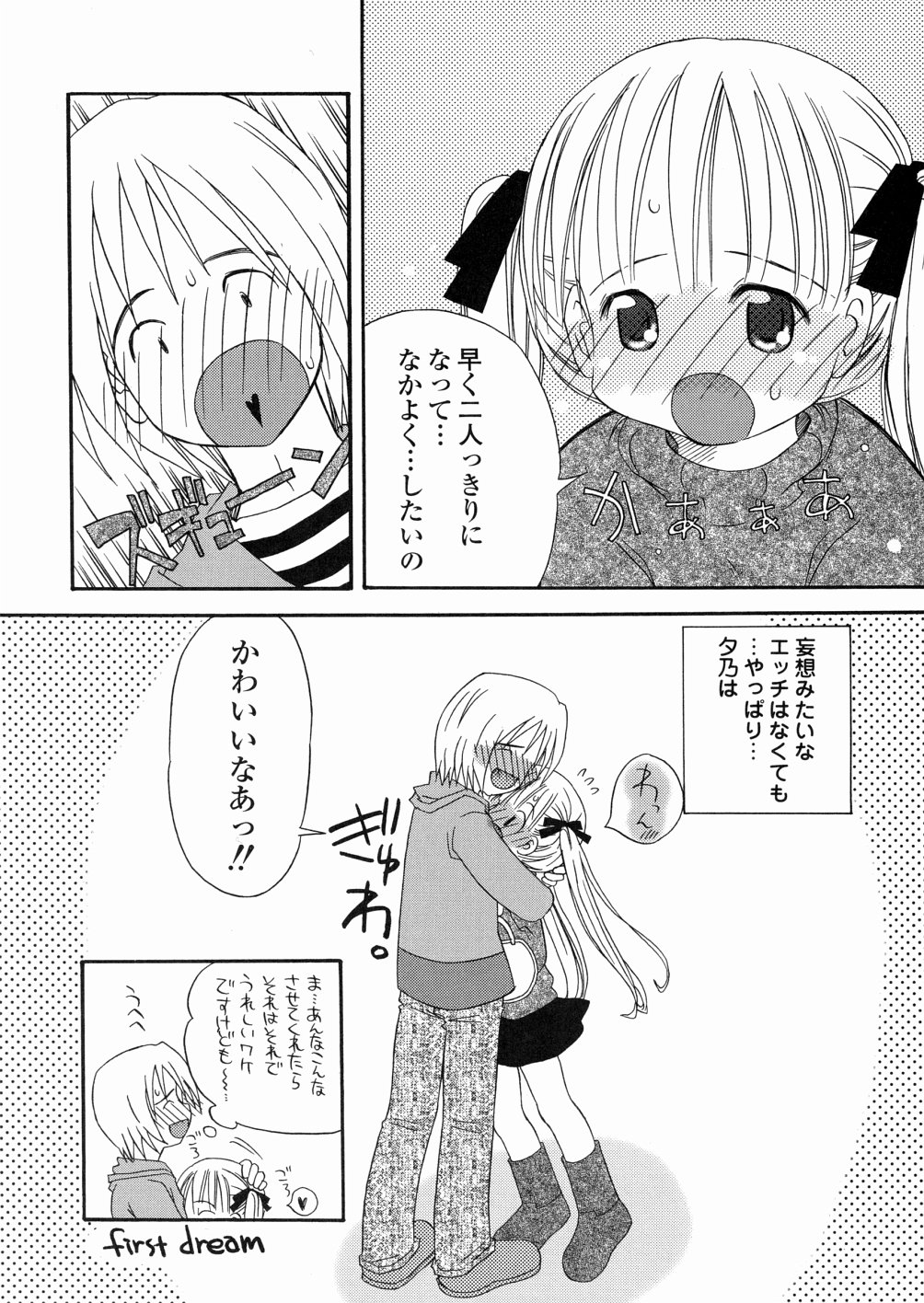 [加賀美ふみを] DREAM FITTER