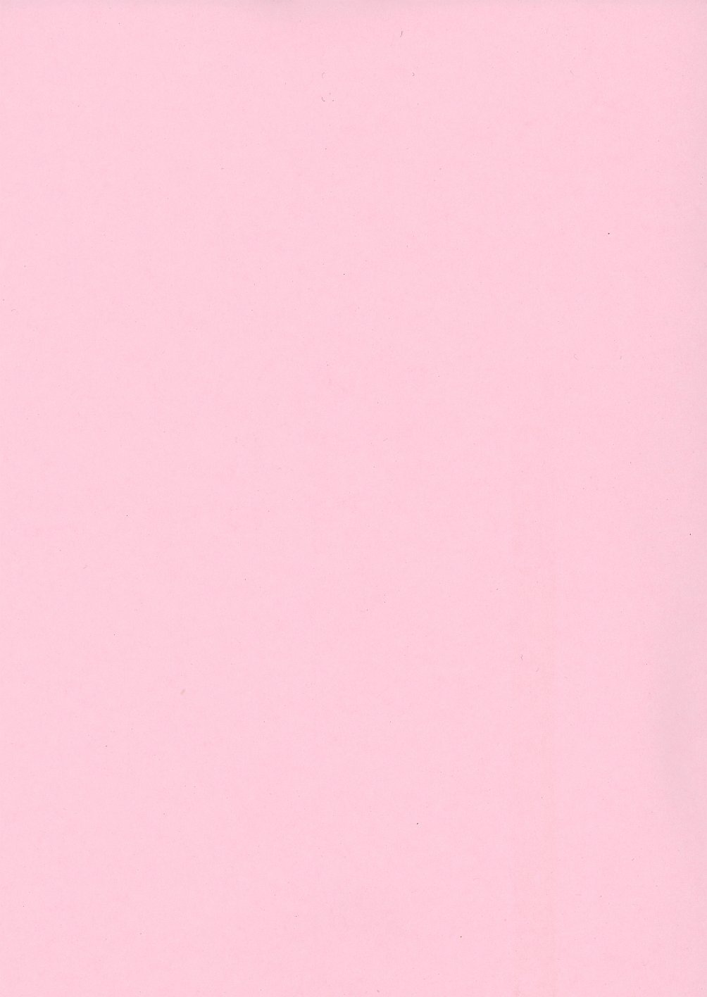 [加賀美ふみを] DREAM FITTER