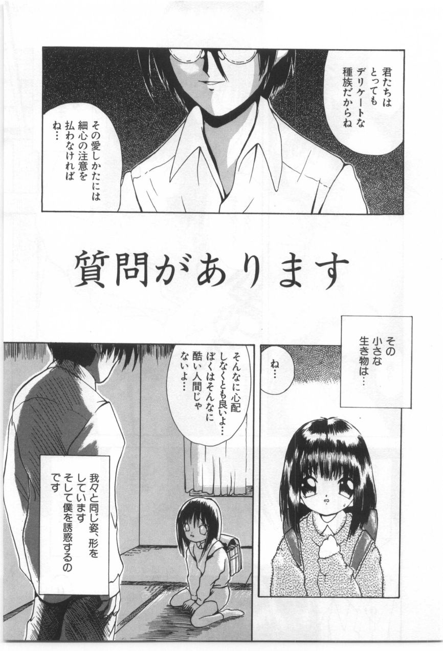 [もりしげ] 子供の森