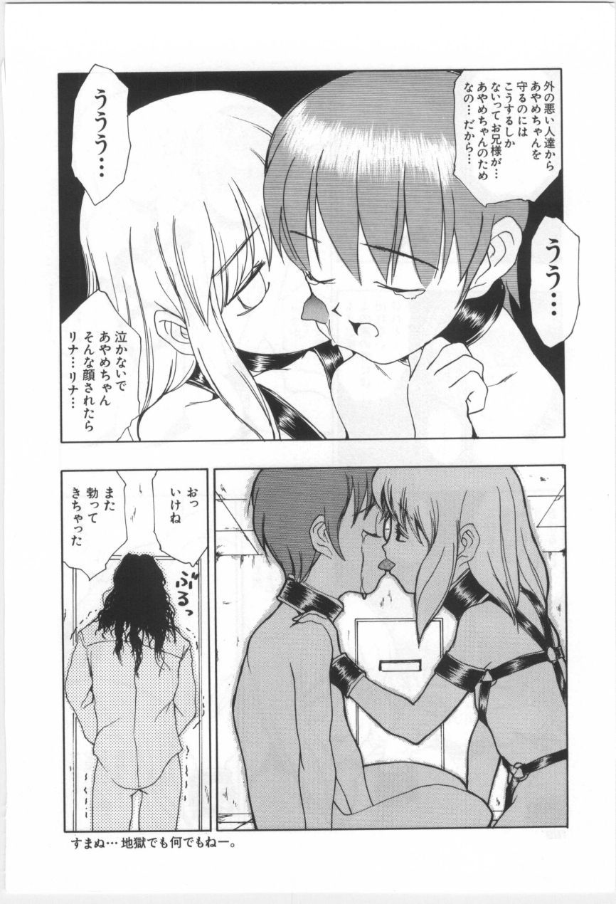 [もりしげ] 子供の森