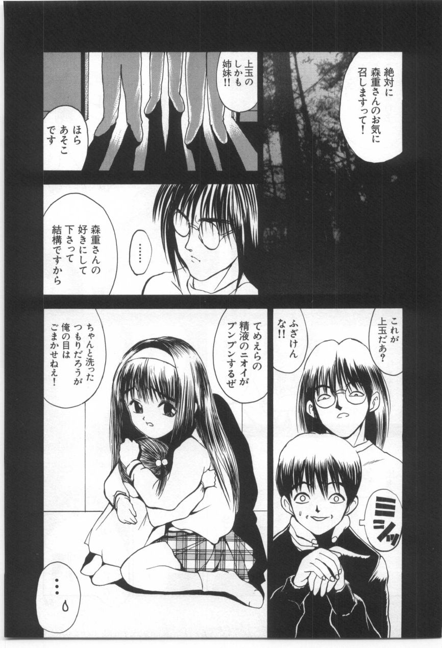 [もりしげ] 子供の森