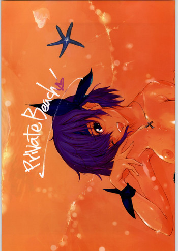 (C64) [ナイロン100% (ナイロン)] PrivateBeach! (デッド・オア・アライブ)