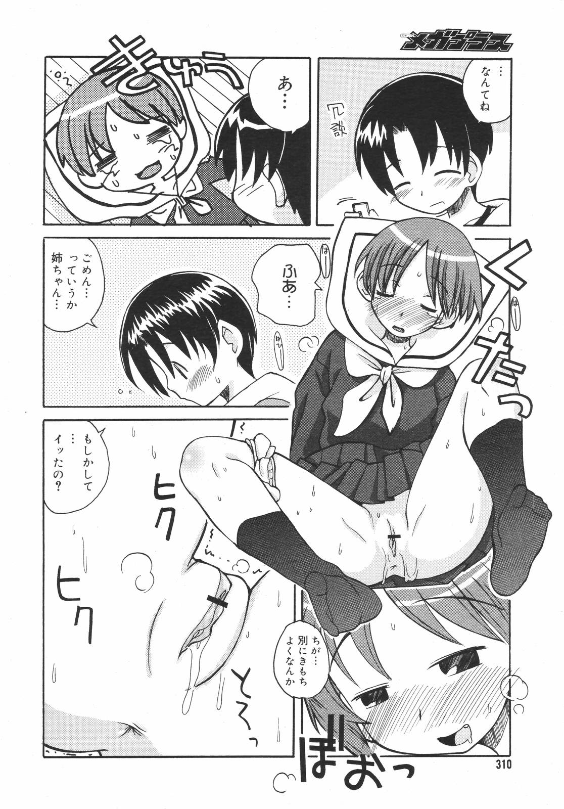 コミックメガプラスVol.382006-12