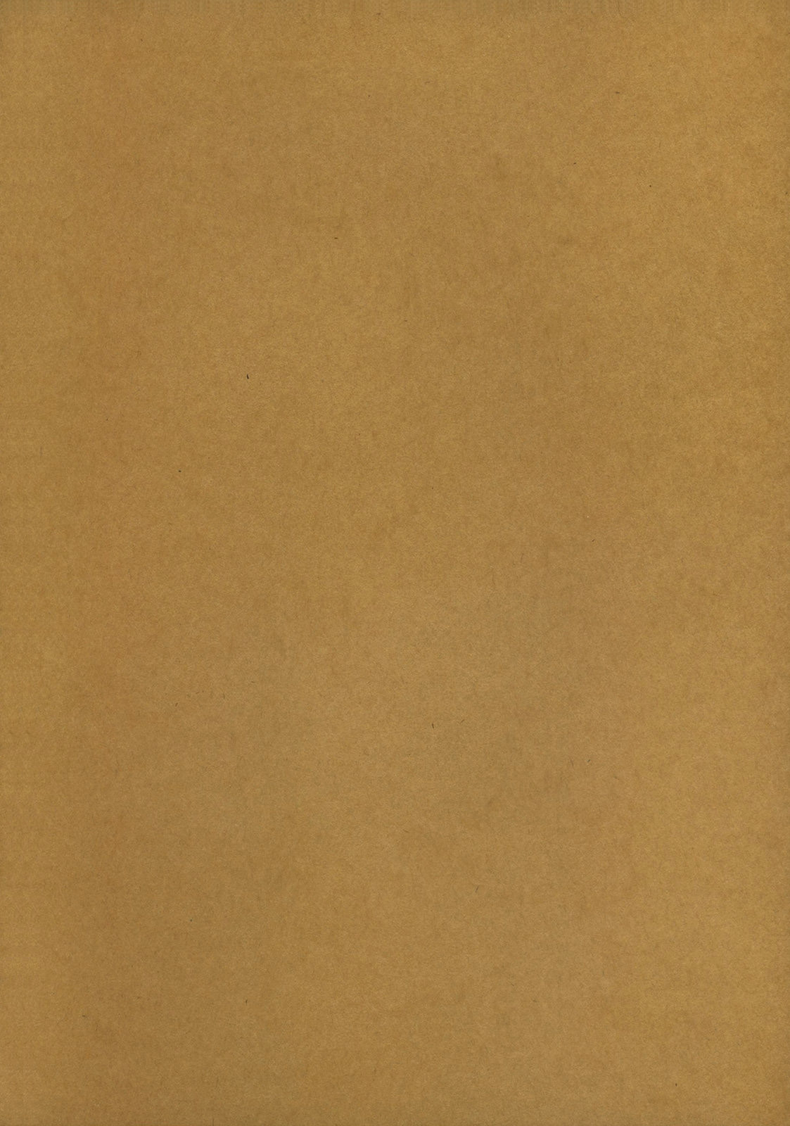 (C70) [D.N.A.Lab. (ミヤスリサ)] PARTYCARONADE (よろず)