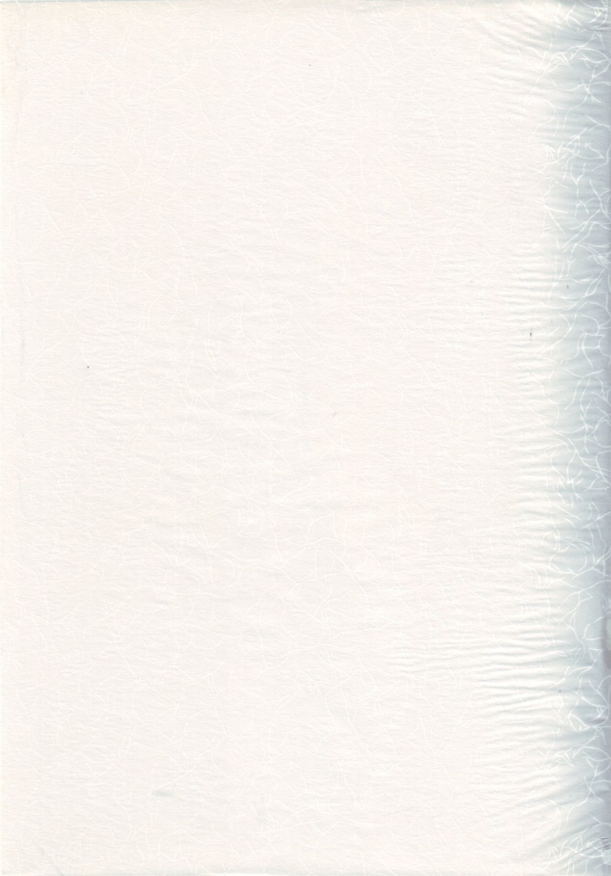 【有限会社アニメワールドスター】ヌーベイロジック